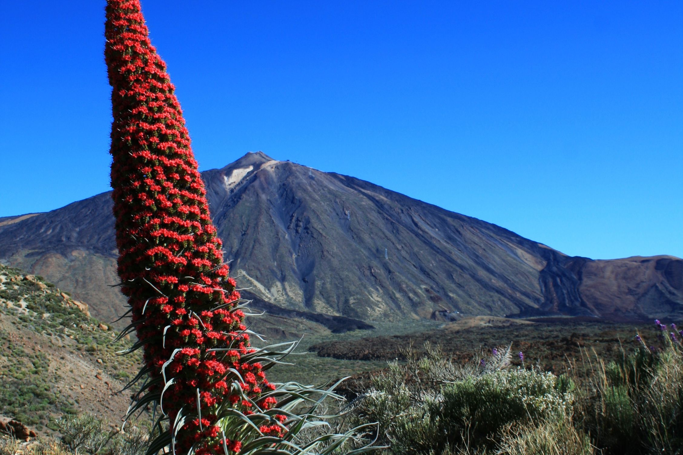 Quad Bike Teide